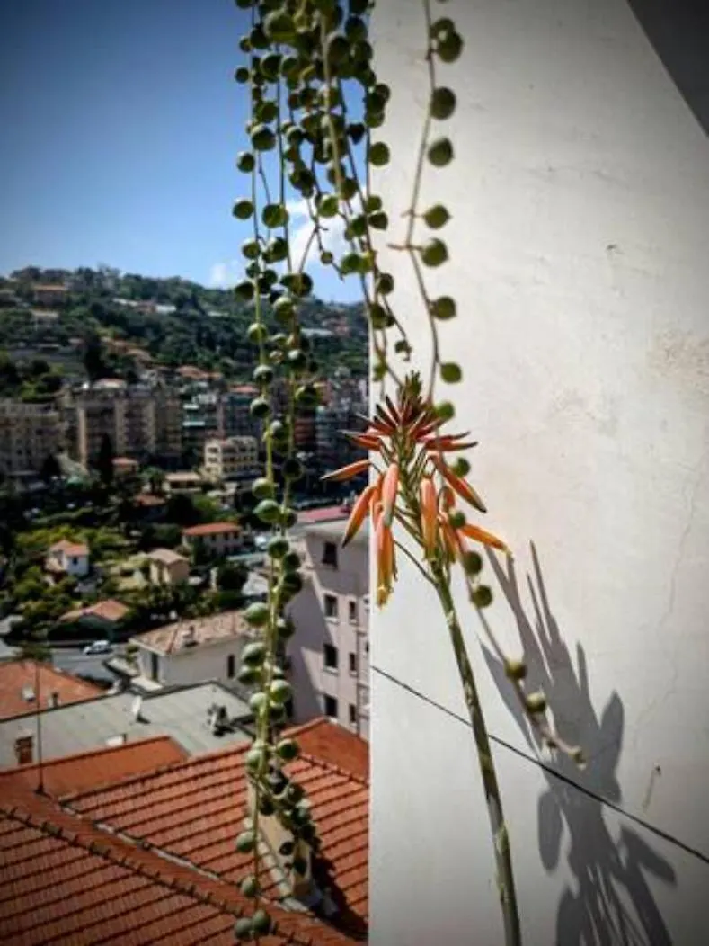 248 - Casa Amarcord - Appartamento Vintage Vista Mare E A Pochi Minuti Dal Centro Di Sanremo Apartment